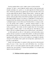 Eseja 'Reklāmas tiesiskais regulējums un atbildība par pārkāpumiem reklāmas sfērā', 6.