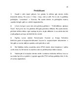 Eseja 'Reklāmas tiesiskais regulējums un atbildība par pārkāpumiem reklāmas sfērā', 20.