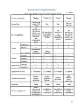 Prakses atskaite 'Prakses atskaite mārketingā', 10.