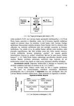 Referāts 'AS "Parex banka" mārketinga vides un stratēģijas analīze un darbības plānošana', 16.