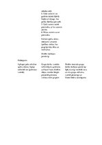 Paraugs 'Latviešu valodas konspekts 4.klasei. Spoku stāsti', 5.