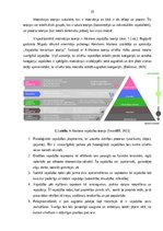 Diplomdarbs 'Personāla darba motivēšanas sistēmas pilnveidošana', 19.
