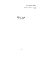 Biznesa plāns 'SIA "Gaisma"', 1.