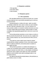 Biznesa plāns 'SIA "Gaisma"', 8.