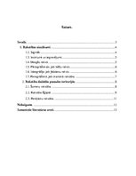 Referāts 'Rakstības rašanās', 2.