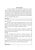 Referāts 'Biznesa kultūra Azerbaidžānā', 7.