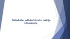 Prezentācija 'Sālsskābe, nātrija hlorīds, nātrija hidroksīds, to īpašības', 1.