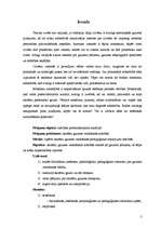 Referāts 'Skolēnu gaumes veidošanās', 2.