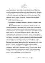 Referāts 'Solārija ietekme uz cilvēka organismu', 5.