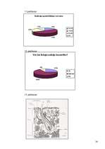 Referāts 'Solārija ietekme uz cilvēka organismu', 36.