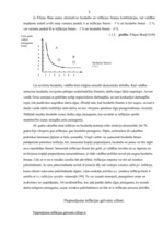 Referāts 'Inflācijas cēloņi Latvijā', 8.