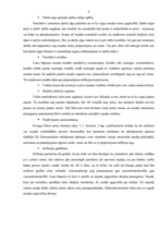 Referāts 'Inflācijas cēloņi Latvijā', 9.