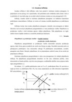 Referāts 'Inflācijas cēloņi Latvijā', 10.