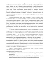 Referāts 'Inflācijas cēloņi Latvijā', 21.