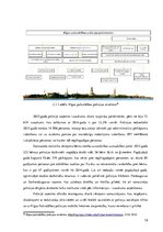 Referāts 'Pašvaldības policijas tiesiskais statuss un darbības kompetenču juridiskais ietv', 19.