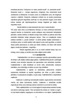 Referāts 'Jēkabpils iedzīvotāju ienākumu un patēriņa raksturojums', 6.