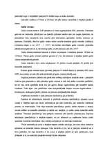 Prakses atskaite 'Mārketinga kvalifikācijas prakse', 14.