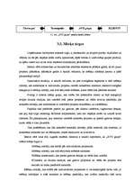 Prakses atskaite 'Mārketinga kvalifikācijas prakse', 17.