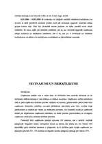 Prakses atskaite 'Mārketinga kvalifikācijas prakse', 20.