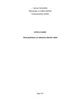 Referāts 'Tiešās pārdošanas un sabiedrisko attiecību vadība', 1.