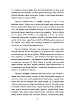 Referāts 'Vadības principi - mūsdienu pieeja', 9.