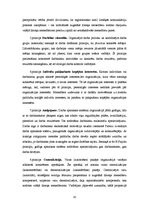 Referāts 'Vadības principi - mūsdienu pieeja', 10.