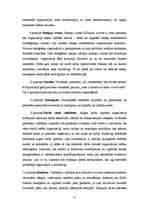 Referāts 'Vadības principi - mūsdienu pieeja', 11.