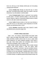 Referāts 'Vadības principi - mūsdienu pieeja', 13.