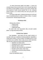 Referāts 'Mārketinga plāns "Rīgas melnais balzams"', 4.