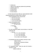 Referāts 'Mārketinga plāns "Rīgas melnais balzams"', 5.