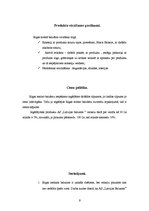 Referāts 'Mārketinga plāns "Rīgas melnais balzams"', 9.