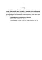 Referāts 'Darījumi ar norēķinu kartēm', 2.