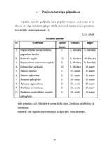 Referāts 'Viesnīcas remonta projekts', 20.