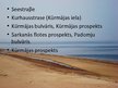 Prezentācija 'Kūrmājas prospekts Liepājā', 3.