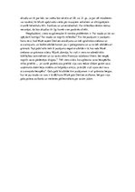 Konspekts 'Emīla Zolā romāna "Dāmu paradīze" recenzija', 3.