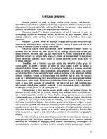 Referāts 'Kultūra un civilizācija', 4.