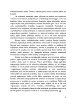 Referāts 'Visaptverošās kvalitātes vadīšanas sistēmas TQM ekonomiskā būtība un nozīme', 18.