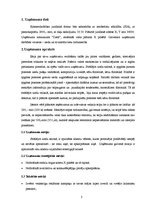 Referāts 'Kursa darbs', 3.