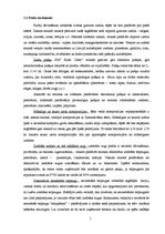 Referāts 'Kursa darbs', 5.