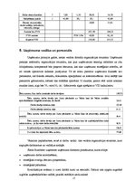 Referāts 'Kursa darbs', 17.