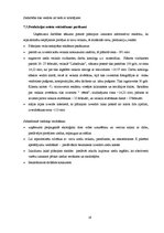 Referāts 'Kursa darbs', 19.