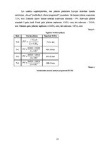 Referāts 'Kursa darbs', 23.