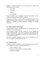 Referāts 'Tiešā mārketinga nozīmīgums biznesa tirgū', 11.