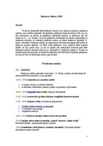 Referāts 'Pasākuma "Ķekavas dienas 2009" apmeklējums', 3.