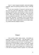 Referāts 'Enerģētiskais vampīrisms', 28.