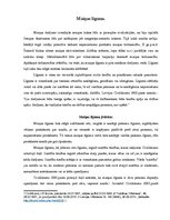 Referāts 'Maiņas līgums', 1.