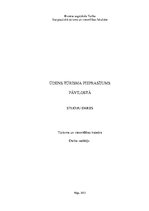 Referāts 'Ūdens tūrisma pieprasījums Pāvilostā', 1.