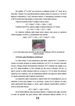 Prakses atskaite 'Jūras ūdens analīze', 11.