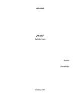 Referāts 'Optika', 1.