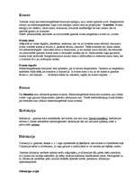 Referāts 'Optika', 4.